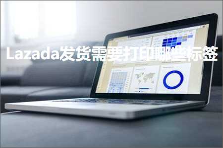 璺ㄥ鐢靛晢鐭ヨ瘑:Lazada鍙戣揣闇€瑕佹墦鍗板摢浜涙爣绛? width=