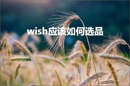 跨境电商知识:wish应该如何选品