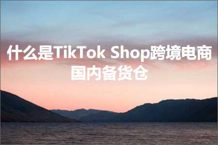 璺ㄥ鐢靛晢鐭ヨ瘑:浠€涔堟槸TikTokShop璺ㄥ鐢靛晢鍥藉唴澶囪揣浠? width=