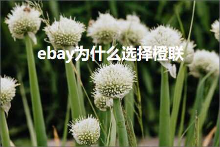 跨境电商知识:ebay为什么选择橙联