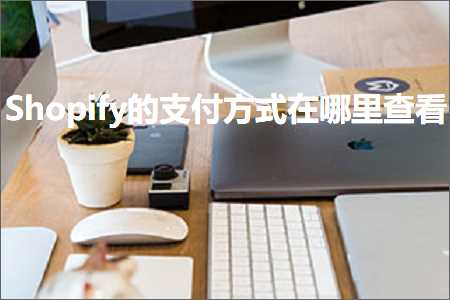 跨境电商知识:Shopify的支付方式在哪里查看