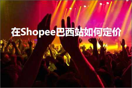 跨境电商知识:在Shopee巴西站如何定价