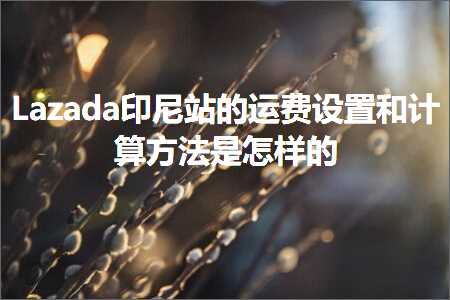 跨境电商知识:Lazada印尼站的运费设置和计算方法是怎样的