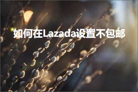 跨境电商知识:如何在Lazada设置不包邮